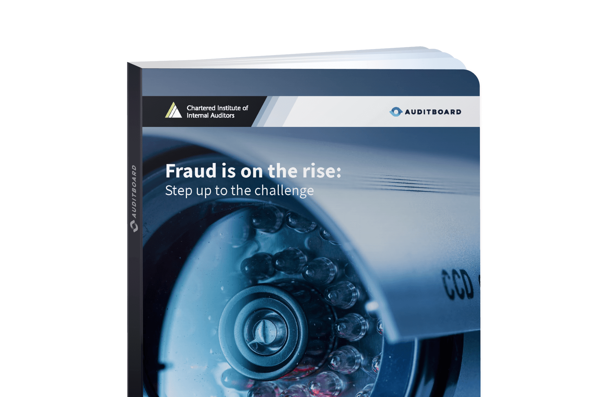Fraud Is on the Rise: Step Up to the Challenge