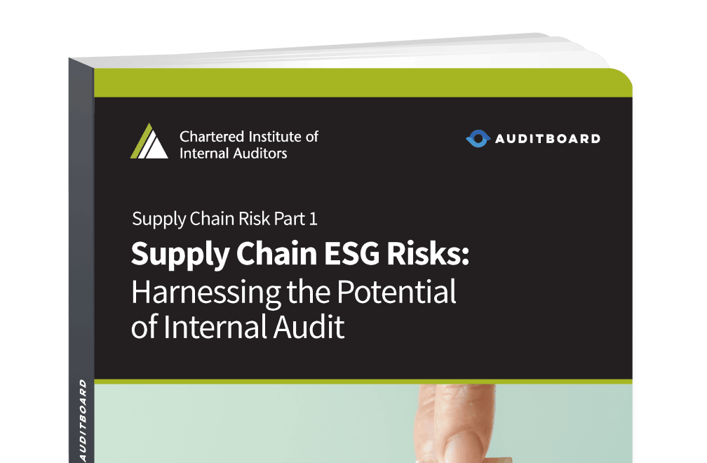 Supply Chain ESG Risks: Harnessing the Potential of Internal Audit 